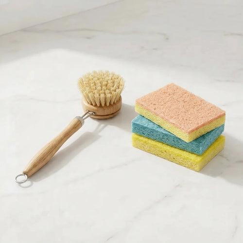 NotOrdanary - Brush and Sponge set